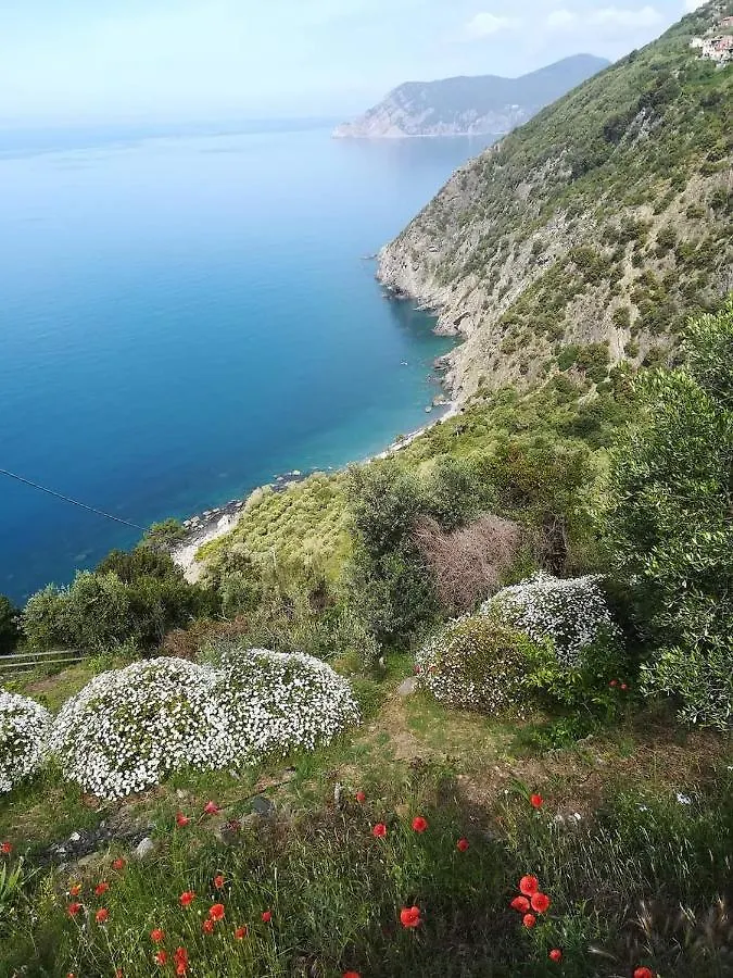 Penzion Hotel La Ginestra Corniglia