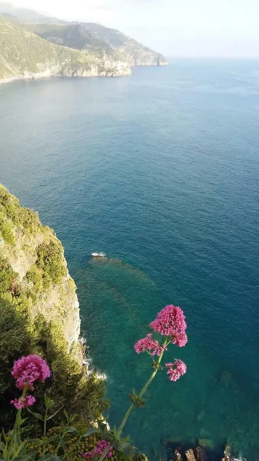 Hotel La Ginestra Corniglia